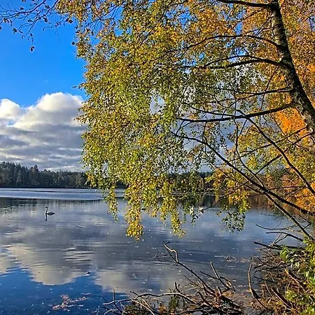 Agro Breza- Letniskowe Alojamento de Turismo Selvagem Lipusz