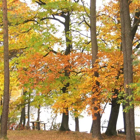 Деревянный коттедж Agro Breza- Letniskowe *