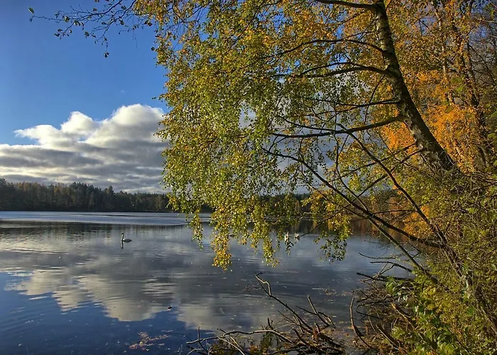 Agro Breza- Letniskowe