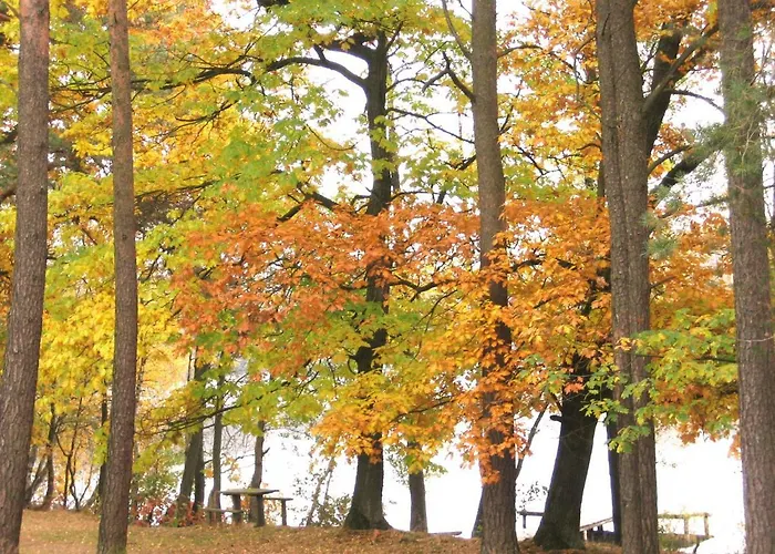 Lodge Agro Breza- Letniskowe *