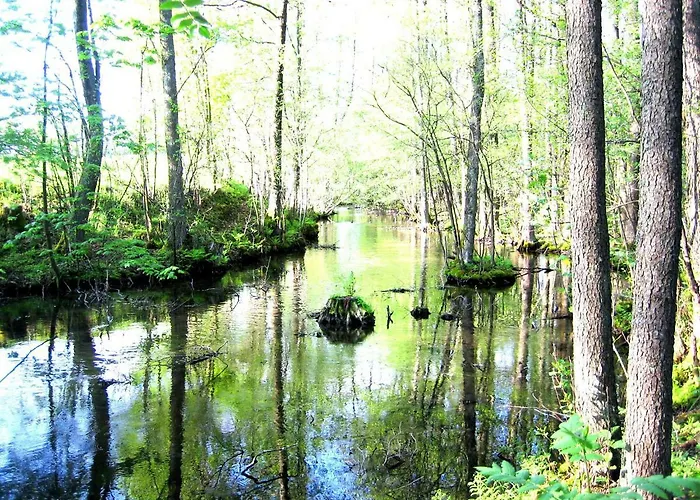 Lodge Agro Breza- Letniskowe *