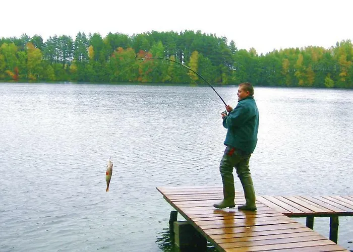 Agro Breza- Letniskowe Lodge *